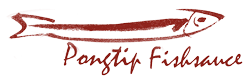 Pongtip Fish Sauce